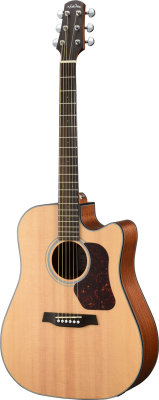 Купить walden d550ce -  гитара электроакустическая