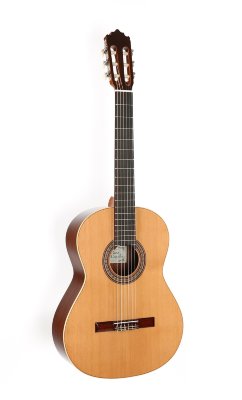 Купить p.castillo 201matt - гитара классическая пако кастильо
