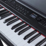Купить artesia pe-88 black - пианино цифровое артезия