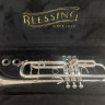Купить blessing btrkr4p6a2z3w - труба bb custom