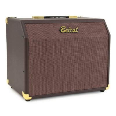 Belcat Acoustic-25RC - Комбоусилитель