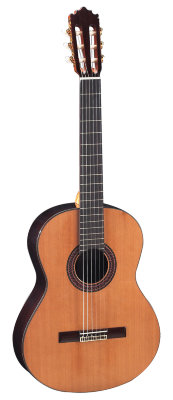 Купить p.castillo 203 - гитара классическая пако кастильо