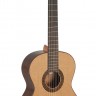 Купить p.castillo 202 - гитара классическая
