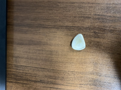 Медиатор из рога лося