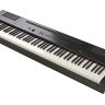 Купить artesia pa-88h black - пианино цифровое артезия