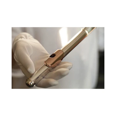 Artist AF-800-RBSSOFPGC#-HJS - Профессиональная флейта