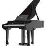 Купить ringway gdp6320 polish black - рояль цифровой рингвей
