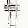 Купить brasspire bptr-750ss - труба
