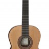 Купить kremona f65c fiesta soloist series - гитара классическая