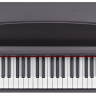 Купить becker bdp-82r - пианино цифровое беккер