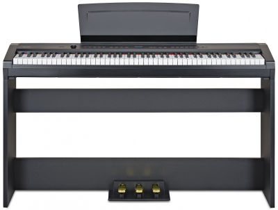 Becker BSP-102B - пианино цифровое БЕККЕР