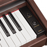 Купить becker bdp-92r - пианино цифровое беккер