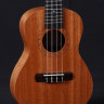 Купить pearl river ul20e-c - укулеле концерт