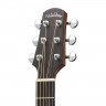 Купить walden d550ce/w - гитара электроакустическая