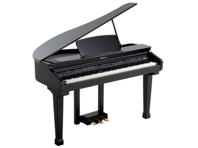 Orla Grand-120 Black Цифровой рояль с банкеткой