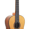 Купить valencia vc564 - гитара классическая валенсия