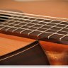 Купить p.castillo 203 - гитара классическая пако кастильо