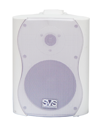 SVS Audiotechnik WS-30 White - Громкоговоритель настенный