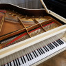 Купить steinway & sons- дизайнерский кабинетный рояль