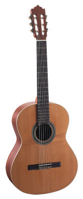 Купить p.castillo 201matt 7/8 - гитара классическая пако кастильо